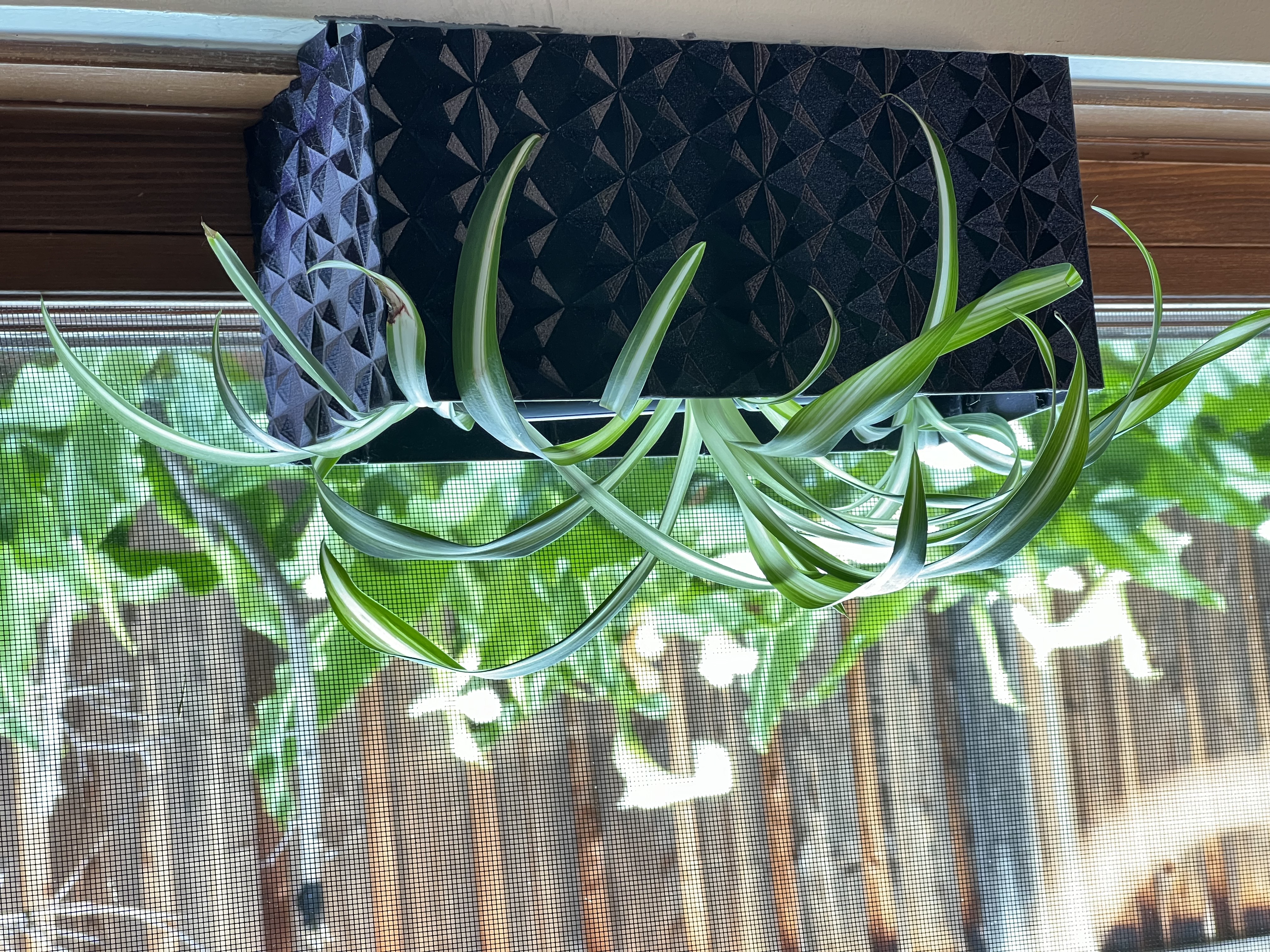 Smarter Window planter box installed on a casement window sill
